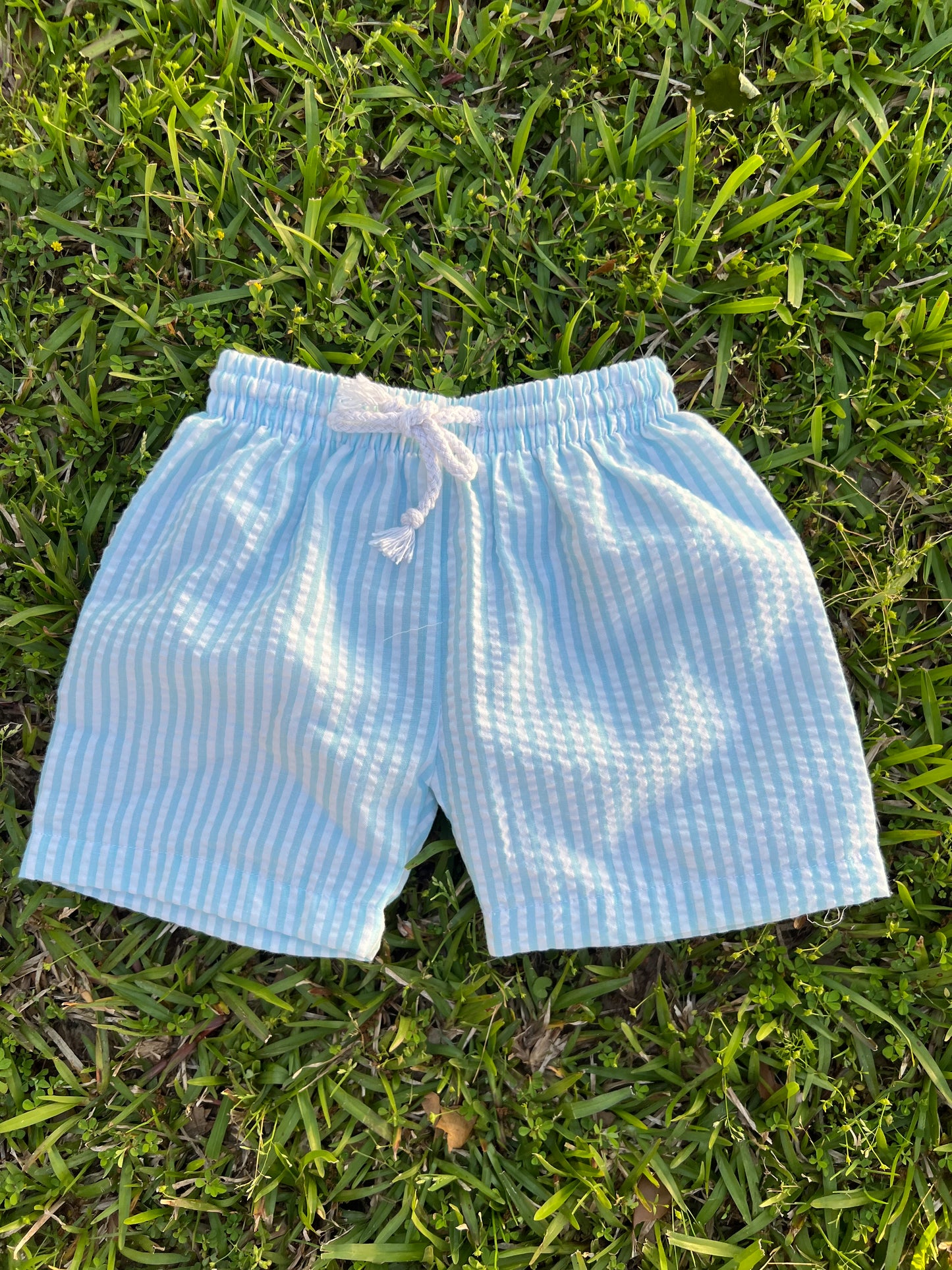Boy Blue Gingham Sun Trunks