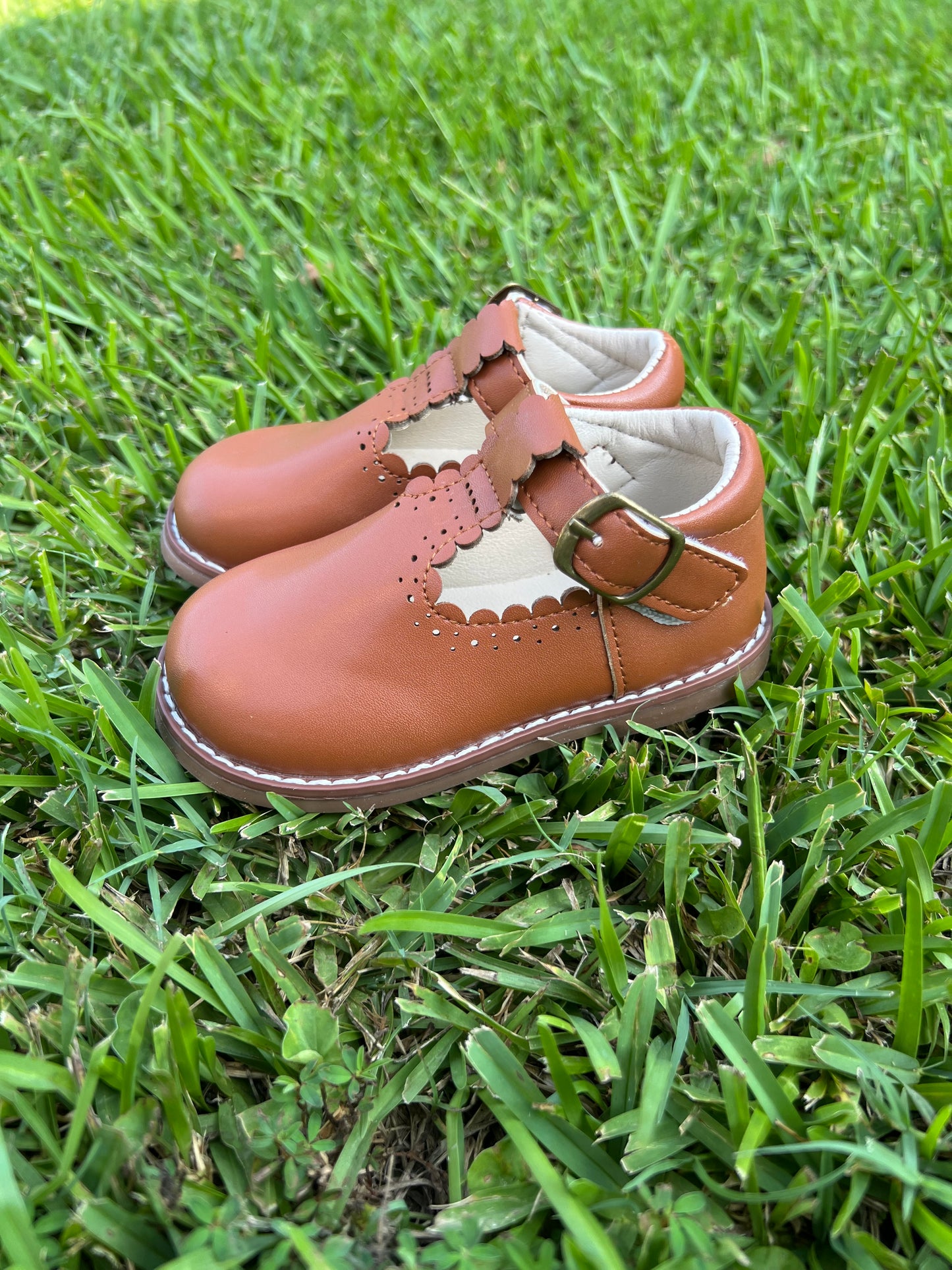 Brown Mary Jane Shoe