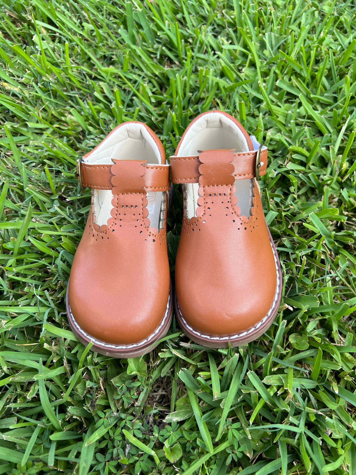 Brown Mary Jane Shoe
